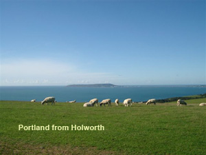 portland from holworth